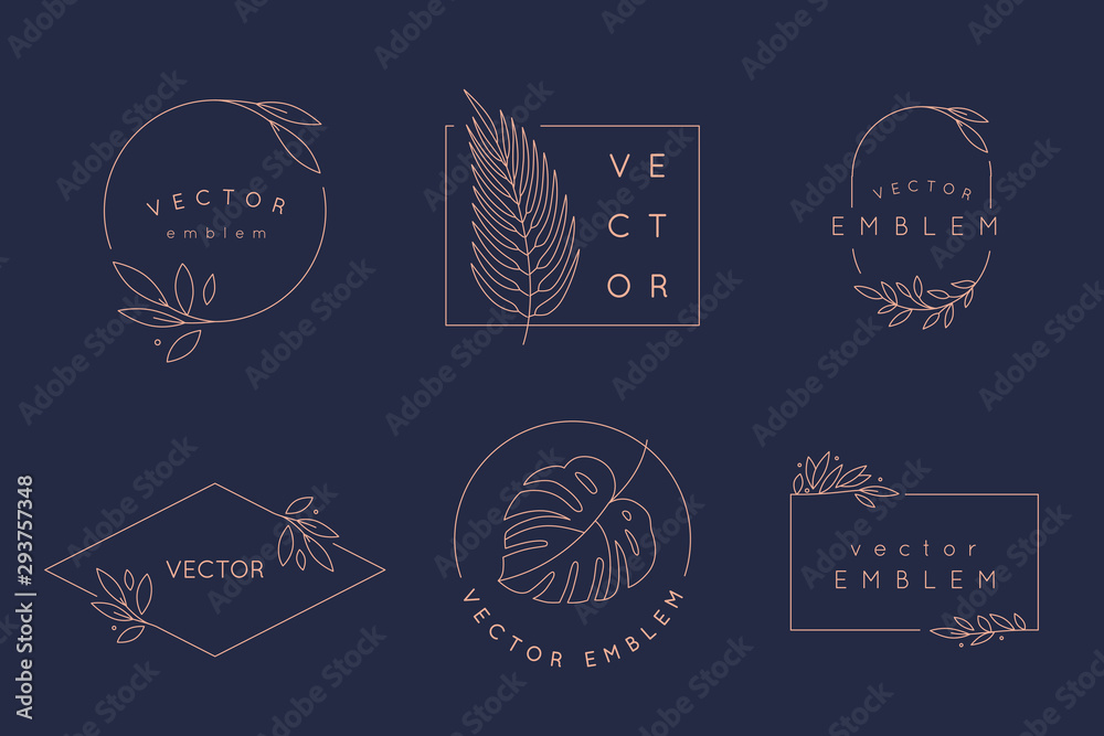 Fototapete vector logo design templates and monogram concepts in trendy linear style - floral frame with copy s
