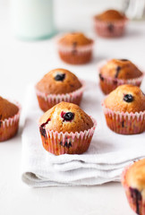 berries muffins or cupcakes with mint leaves on white texture. 