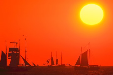 Fototapeta premium Regatta of traditional sailing ships 'Hanse Sail' on the Baltic Sea at sunset.