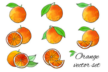 Orange fruit icons with watercolor texture. Vector stock set. Cute doodles. Summer fruit, bright citrus for lemonade and cocktail. Can be used for printed materials. Hand drawn design elements