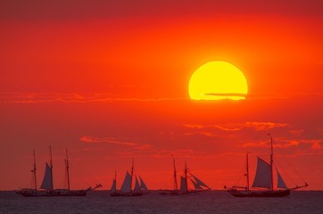 Regatta of traditional sailing ships 'Hanse Sail' on the Baltic Sea at sunset.