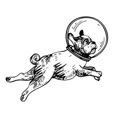 Vector image of a pug in the helmet of an astronaut.