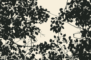 tree and branches silhouette. detailed vector illustration