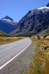 Road to Milford Sound near Homer Tunnel, Fiordland National Park, New Zealand