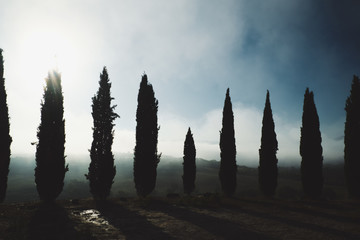 cypress and road in tuscany tuscan countryside with blue sky