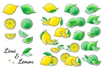 Obraz premium Lime lemon fruit icons with watercolor texture. Vector stock set. Cute doodles. Summer fruit, bright citrus for lemonade and cocktail. Can be used for printed materials. Hand drawn design elements
