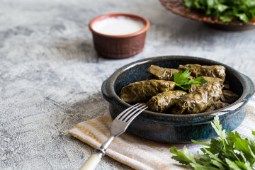 Traditional dolma  (sarma) in grape leaves with copyspace. Lebanon turkish greek middle eastern cuisine. Dinner food dolmadakia