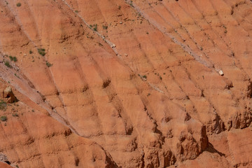 USA Valley of Fire / Utah / Monument Valley / Landschaft