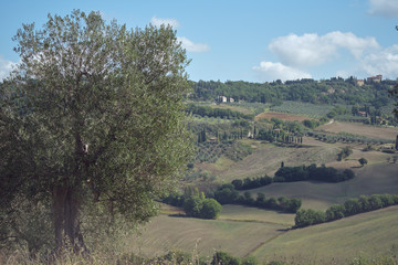 landscape in tuscany tuscan italy hill hills in autumn 