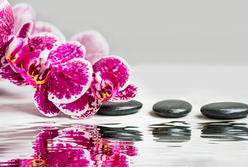 Spa still life with orchid and massage stones, water reflection, tranquil calm spa setting