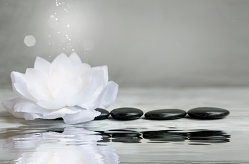 Spa still life with water lily and massage stones - obrazy, fototapety, plakaty