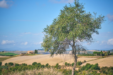landscape in tuscany tuscan italy hill hills in autumn 