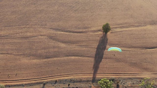 Aerial drone view following paramotors flying in a nice sunrise hour over a huge wide field