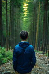 Fototapeta premium lonely guy back to camera on symmetry green pine forest scenery landscape unfocused background vertical photography 