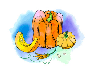 Yellow orange autumn pumpkin. Fall harvest. Cute cartoons with watercolor texture. Halloween, thanksgiving. Food background. Hand drawn design elements. For postcards, greetings, cards, logo. 