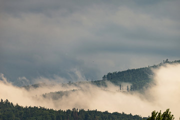 Photo of Mountain landscape with trees and fog. Peaks in the clouds. Tourism in the mountains.