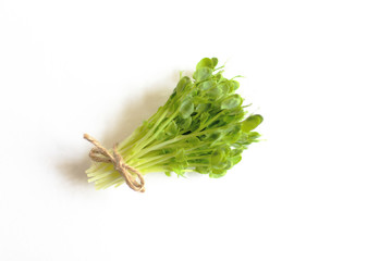 pea shoots microgreens