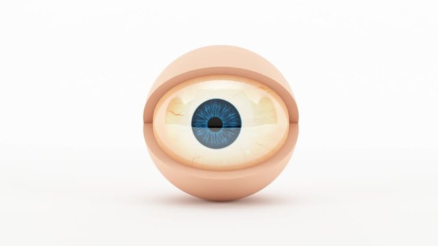 3D Animation Of A Cartoon Eye Looking Side To Side And Blinking