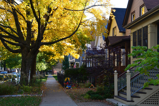 Fall colors in a residential neighborhood of Chicago