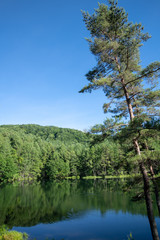 Obraz premium 御射鹿池