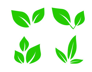 Green leaves icon set isolated on white background. Vector illustration.