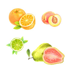 Isolated watercolor fruits set on white background: orange, peach, lime, guava