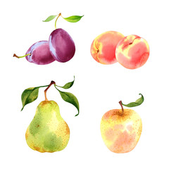 Isolated watercolor fruits set on white background: plum, peach, pear, apple