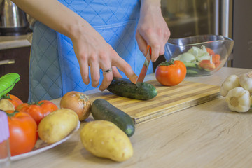 Woman hands cooking healthy meal in the kitchen, behind fresh vegetables. Cropped image of young girl cutting vegetables for Food