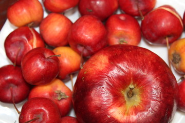 Fototapeta na wymiar red apples on a white background
