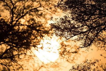 Abendrot in Südafrika