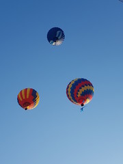 Fototapeta premium hot air balloon in the sky