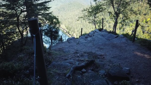 Reveal of a beautiful lake view behind a tree in the Frence Alps