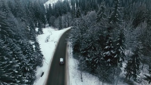 Aerial shot of car driving through snow covered fir tree forest in the mountains. View from above of pine trees covered with snow in winter.