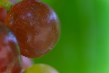 Las uvas son unos frutos muy saludables
