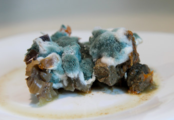 Closeup of rotting food. Mold growing on stewed vegetables and meat