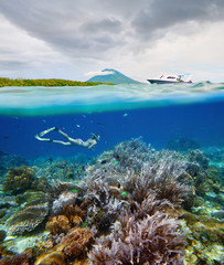 Divers views beautiful coral reef with many fish near Bunaken island, Indonesia.
