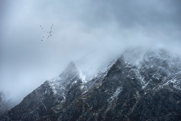 Stunning detail landscape images of snowcapped Pen Yr Ole Wen mountain in Snowdonia during dramatic moody Winter storm with birds flying high above