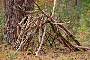 A kind of simple hut made by children out of wood and branches from the forest in the autumn forest in Germany