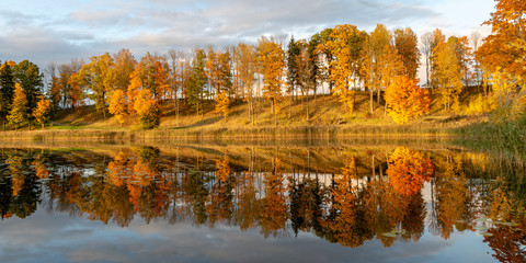 beautiful, gorgeous and colorful trees on an autumn day, wonderful autumn landscape with gorgeous and colorful trees by the water, beautiful reflections in the water