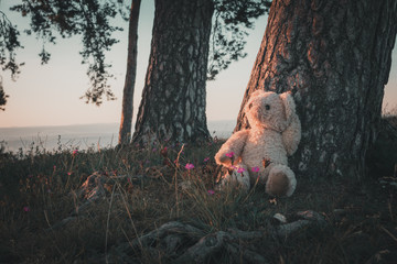 Fototapete bei efototapeten.de bestellen   