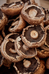 Closeup of brown mushrooms