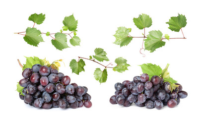 Set of fresh juicy grapes and leaves on white background