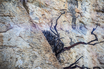 Cliffs of the Douro International Natural Park