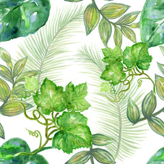 Watercolor illustration  Botanical leaves summer spring collection Set of wild and garden and abstract leaves arrangements hand painted
