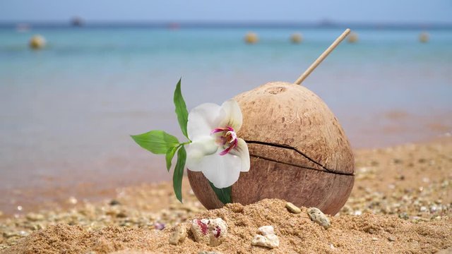 Coco cocktail in a coconut stands in the sand on an ocean beach. Small waves rise behind. Female legs in defocus pass by.