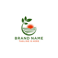 Leaf logo abstract design, vector template