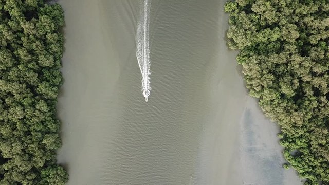 Fishing boat fly over the river surround by mangrove trees at Kuala Juru, Penang.