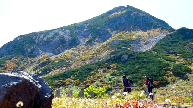 秋の立山黄葉