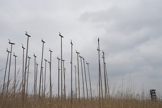 솟대가 있눈 풍경