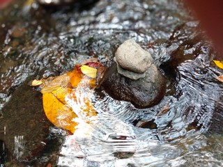 Nature eau